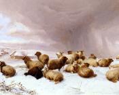 托马斯 辛德尼 库珀 : Sheep In Winter